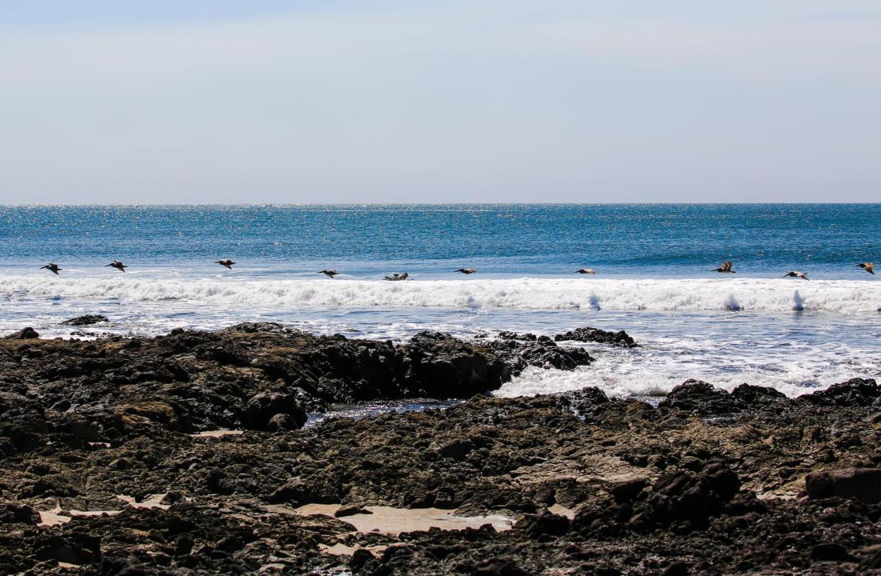 ホテル Tapas & Surf Petacaltepe エクステリア 写真