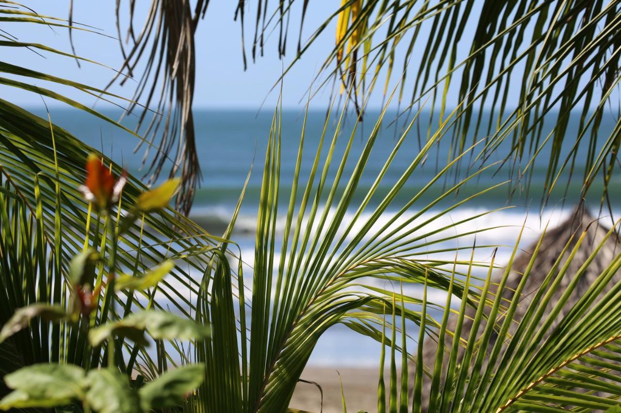 ホテル Tapas & Surf Petacaltepe エクステリア 写真
